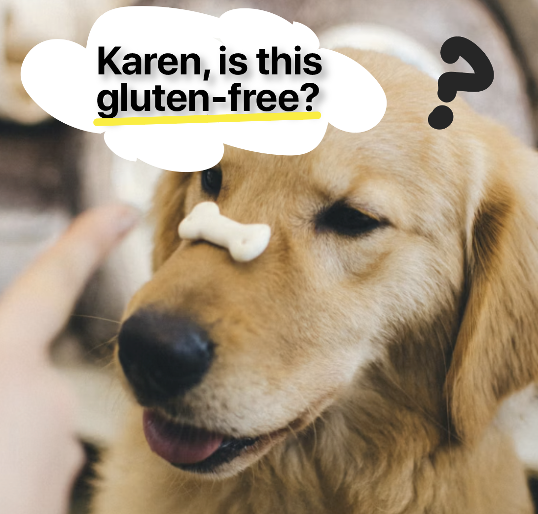 Dog questions if treat is gluten-free.