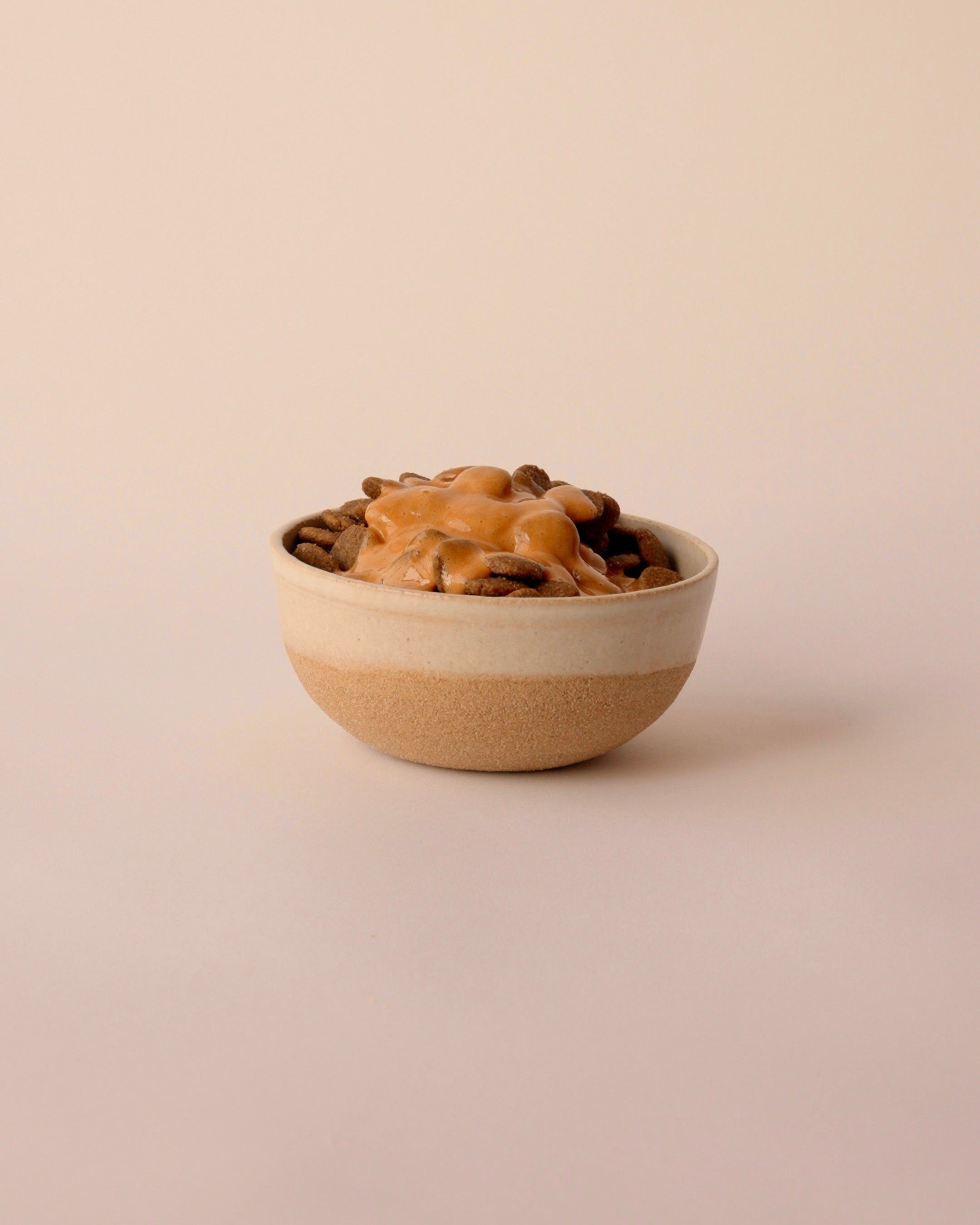 Small ceramic bowl with dog food on a beige background